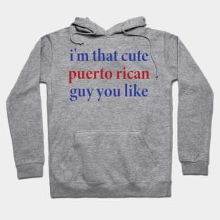 i'm that cute puerto rican guy you like Hoodie